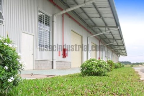 Factory for Lease in Binh Chanh